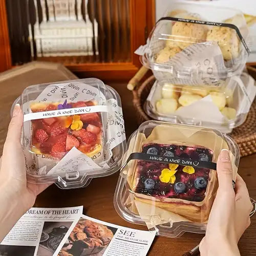 Pvc Bento Box (Set of 10pcs)
